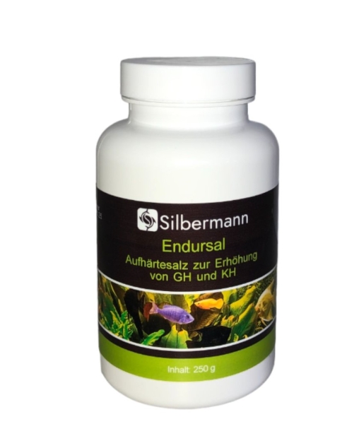 Silbermann